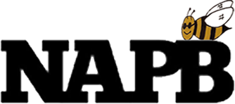 NAPB LLC logo